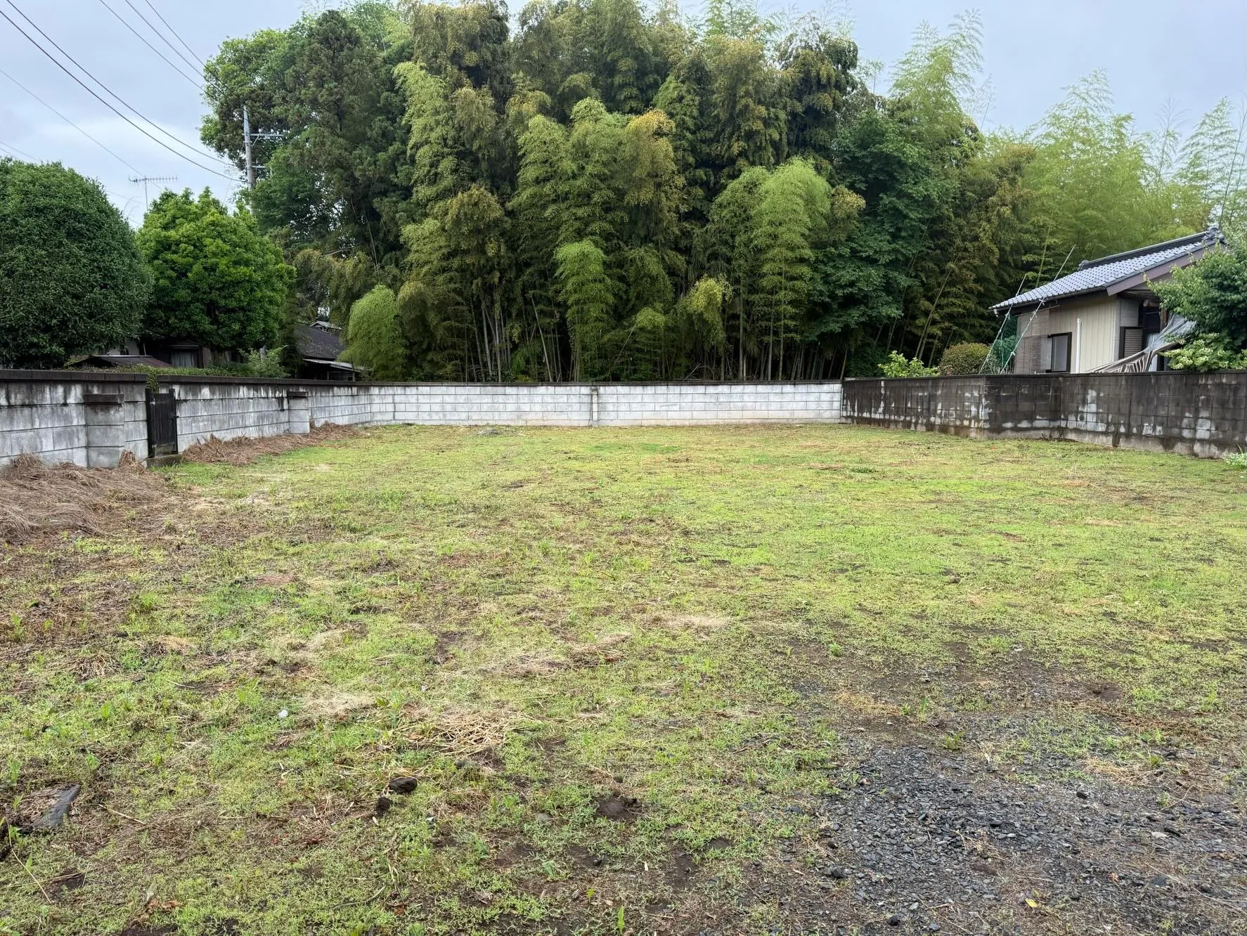 お庭の雑草にお困りですか？🌿