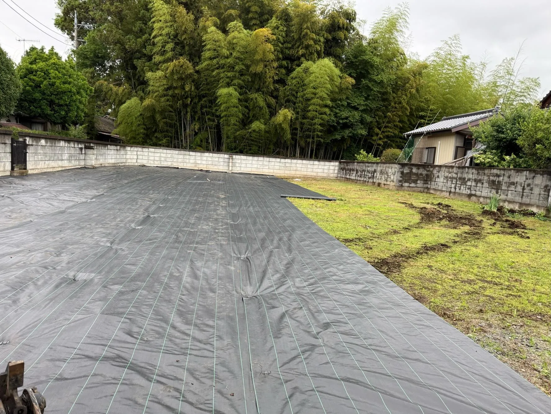 お庭の雑草にお困りですか?🌿